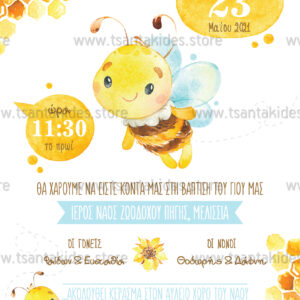 TS253 prosklitirio vaptisis boy little bee melissa