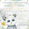 TS260 prosklitirio vaptisis boy little panda