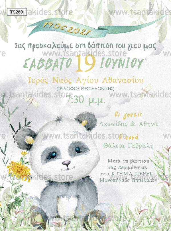 TS260 prosklitirio vaptisis boy little panda