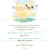 TS462 Νο91Κ 01 prosklitiria gamou vaptisis ducks twins cute rainbow